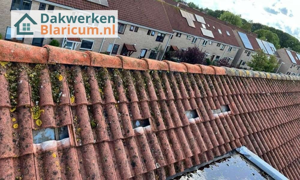 Een dakrenovatie bij oud pannendak Een dakrenovatie bij oud pannendak in Blaricum